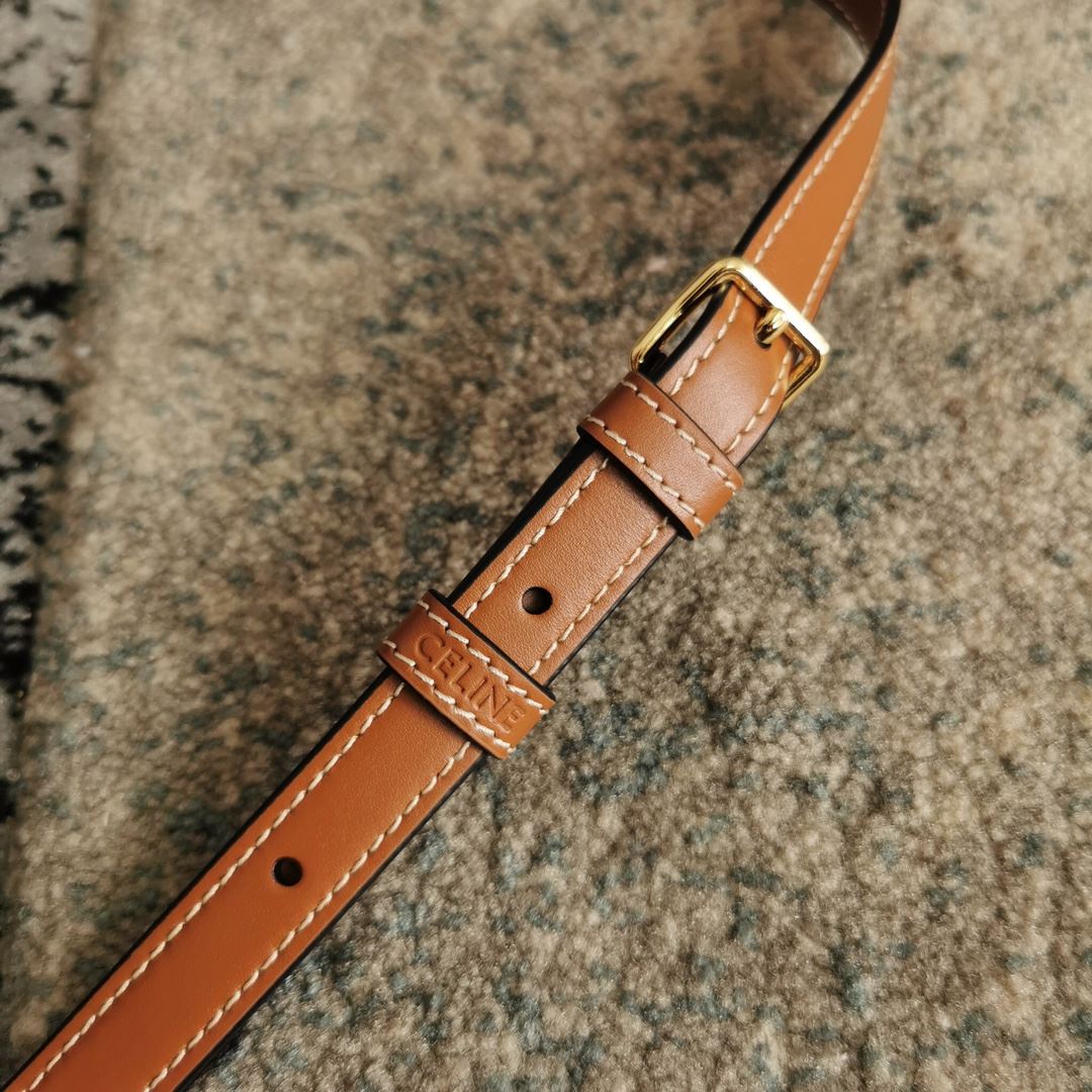 Ce1i*e Triomphe Shoulder Bag In Canvas Brown/ Light Yellow/White For Women‎ 8in/20cm 194142CUZ.04LU