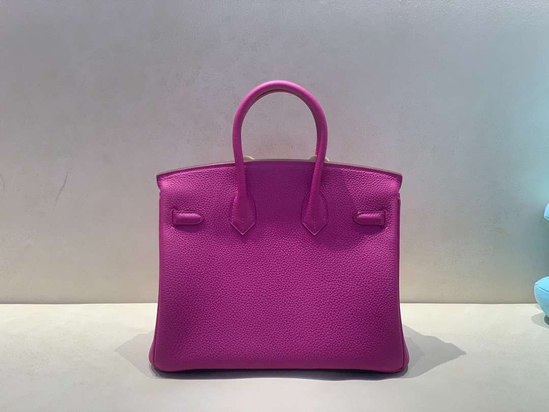 H**me5 Birkin 25 Beton Togo Purple For Women 25cm / 9.8in