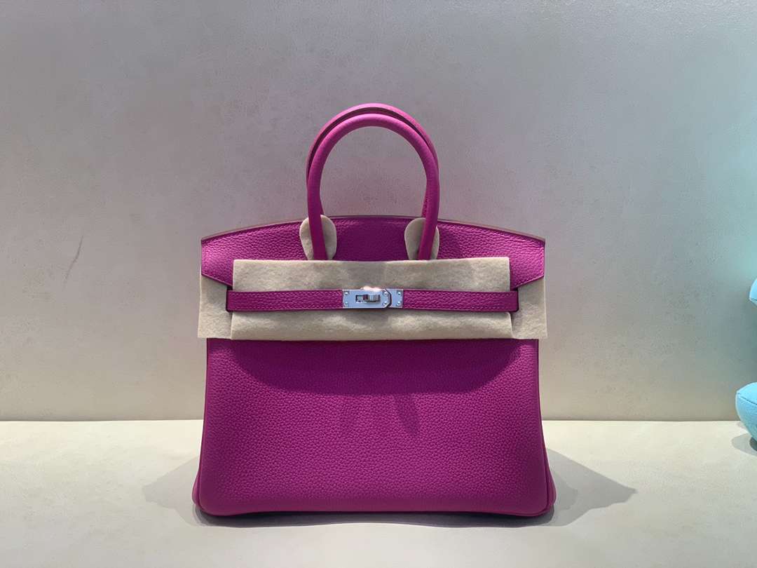 H**me5 Birkin 25 Beton Togo Purple For Women 25cm / 9.8in